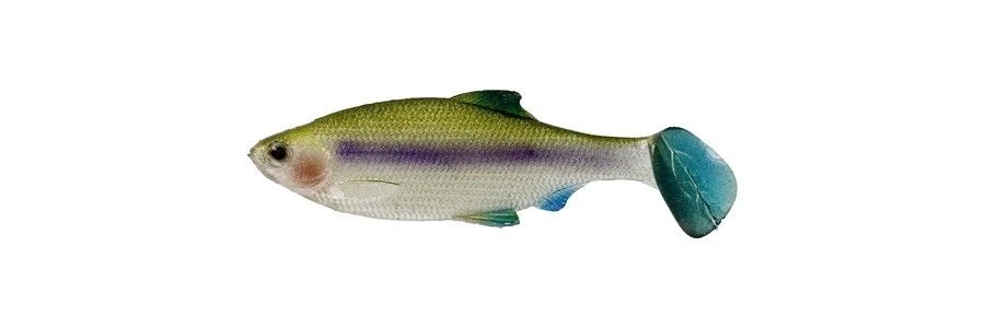 Westin Ricky The Roach 2 3/4 Inch Soft Paddle Tail Swimbait 5 Pack - Image 2